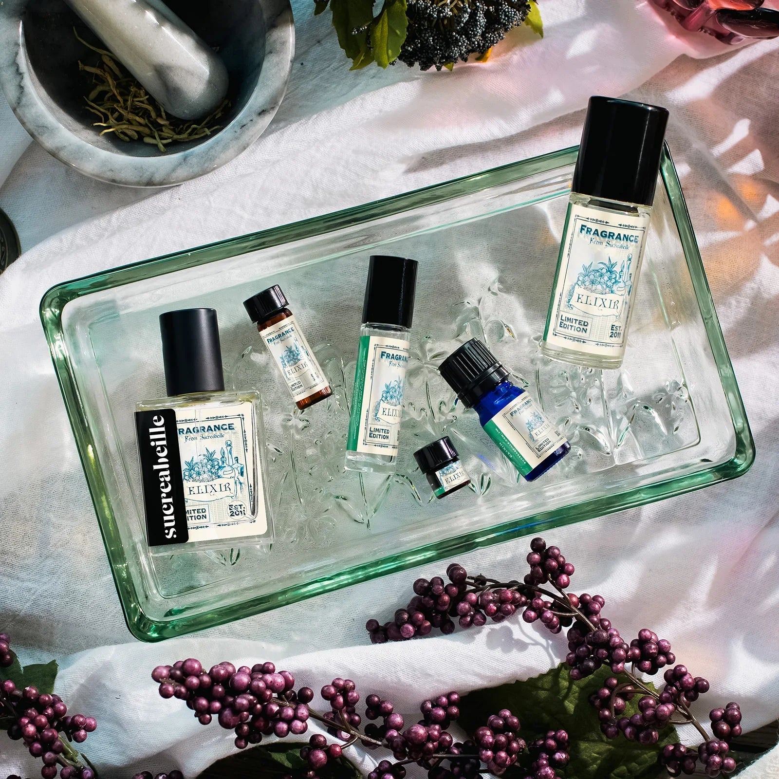 Potion Collection Preorder Only