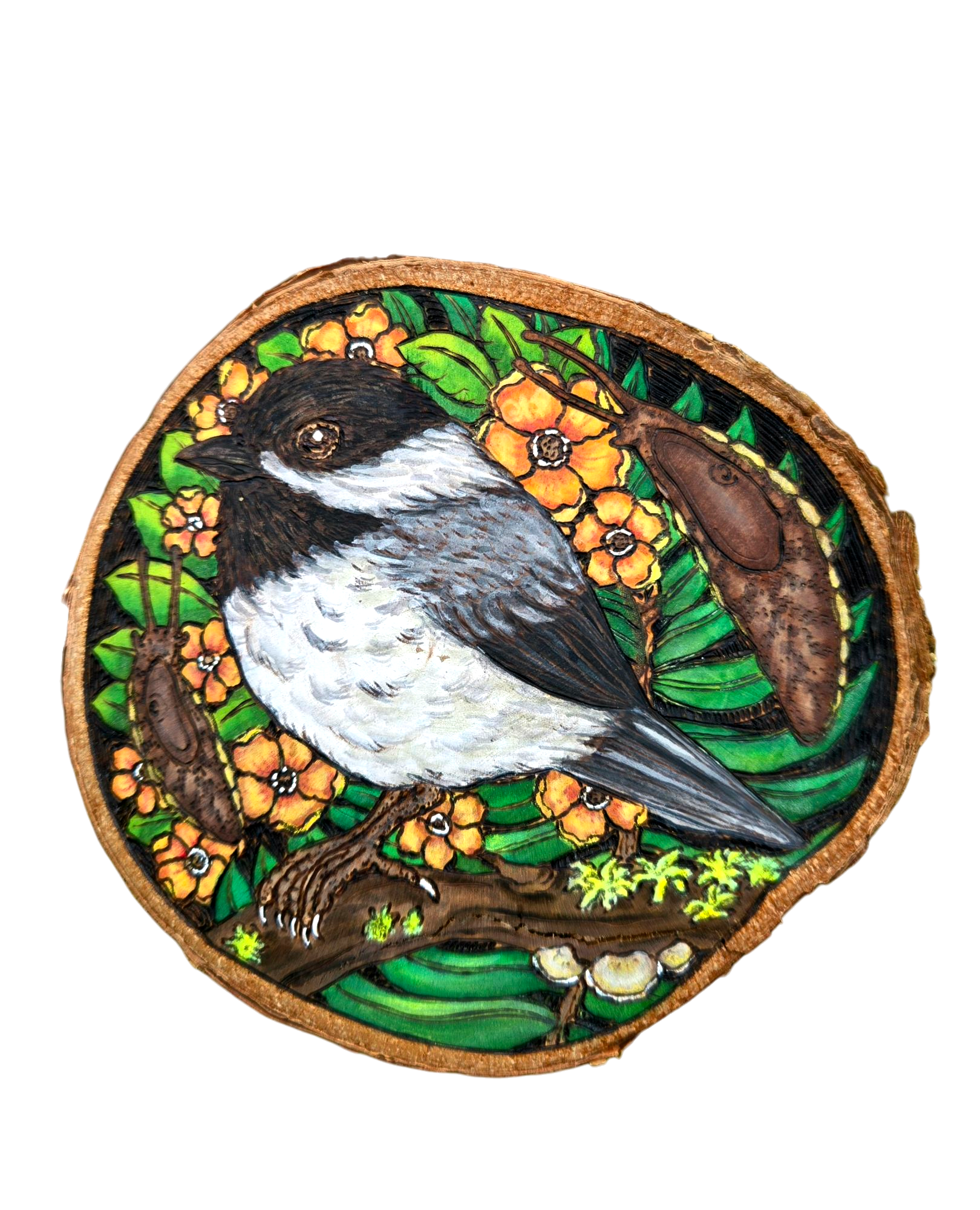 Hand-drawn Bird and Mushroom Vinyl Stickers by Forrest Chel Art