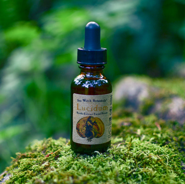 Lucidum reshi extract facial serum from Sea Witch Botanicals