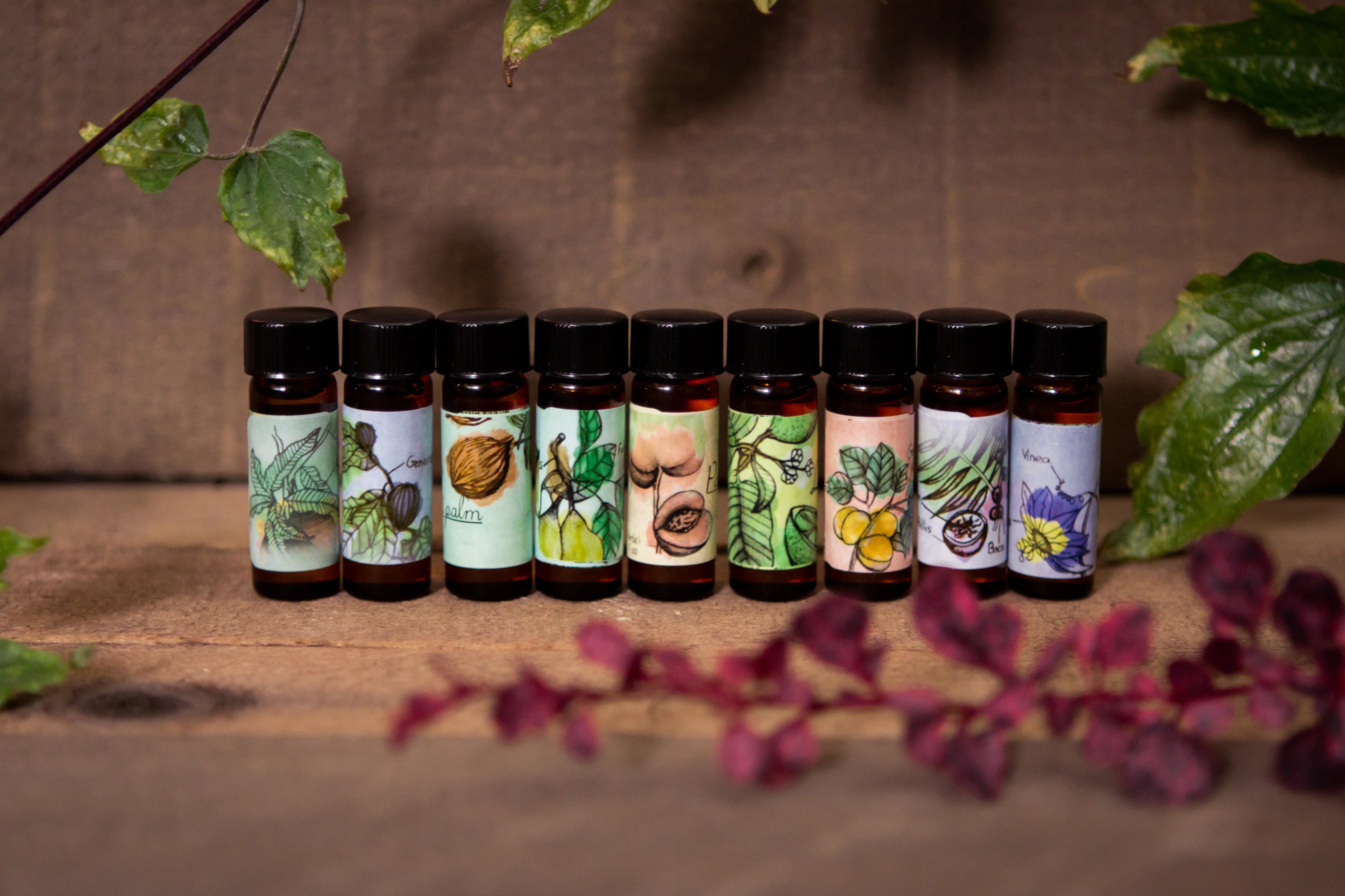 Sucreabeille Discovery Sets