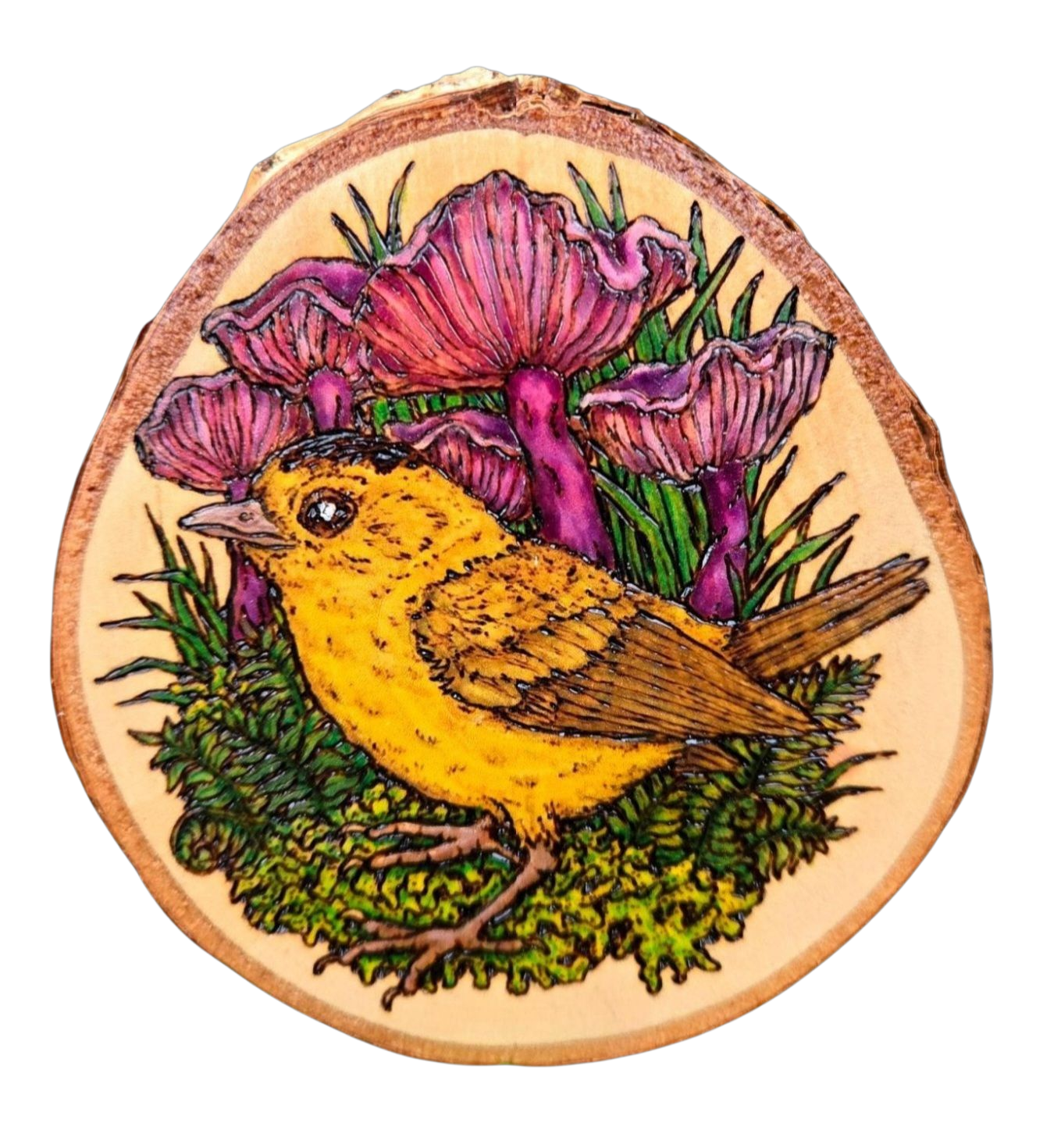 Hand-drawn Bird and Mushroom Vinyl Stickers by Forrest Chel Art