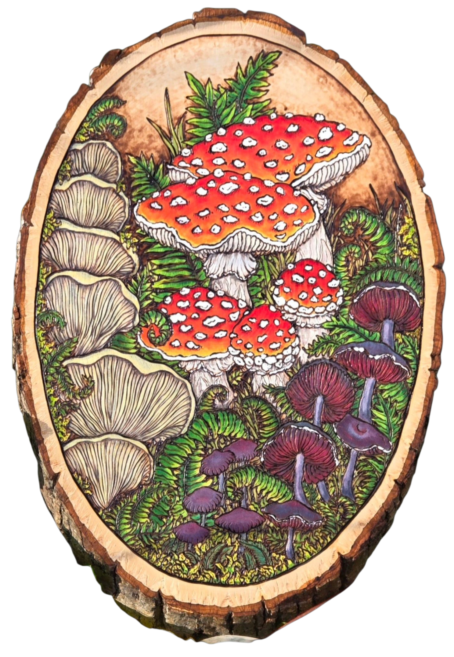 Hand-drawn Bird and Mushroom Vinyl Stickers by Forrest Chel Art