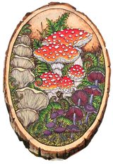 Hand-drawn Bird and Mushroom Vinyl Stickers by Forrest Chel Art