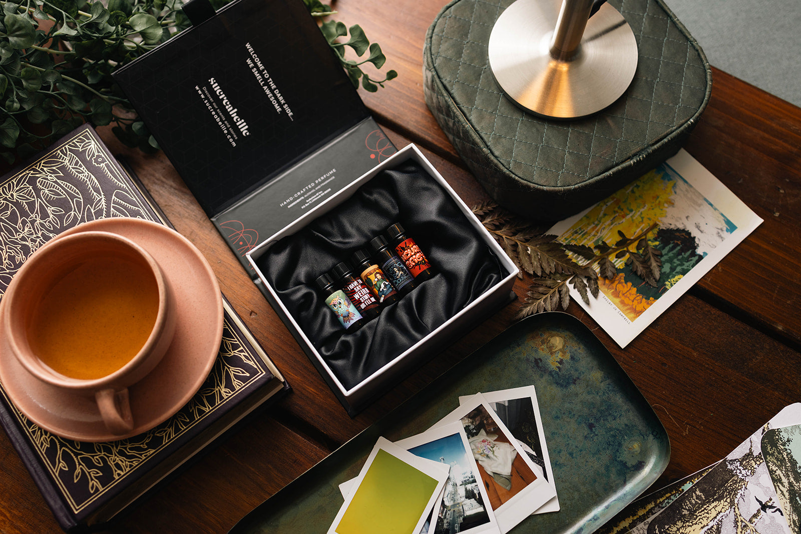 Neurospicy Collection Box Set