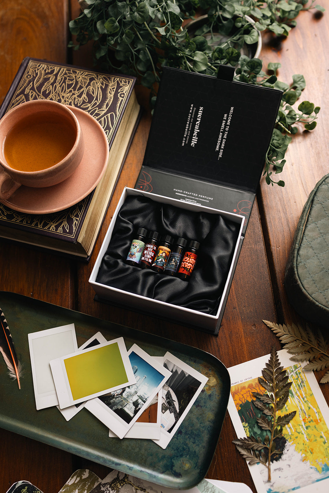 Neurospicy Collection Box Set