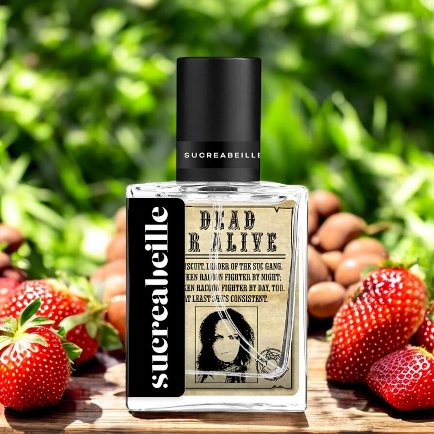 Dead or Alive – Sucreabeille