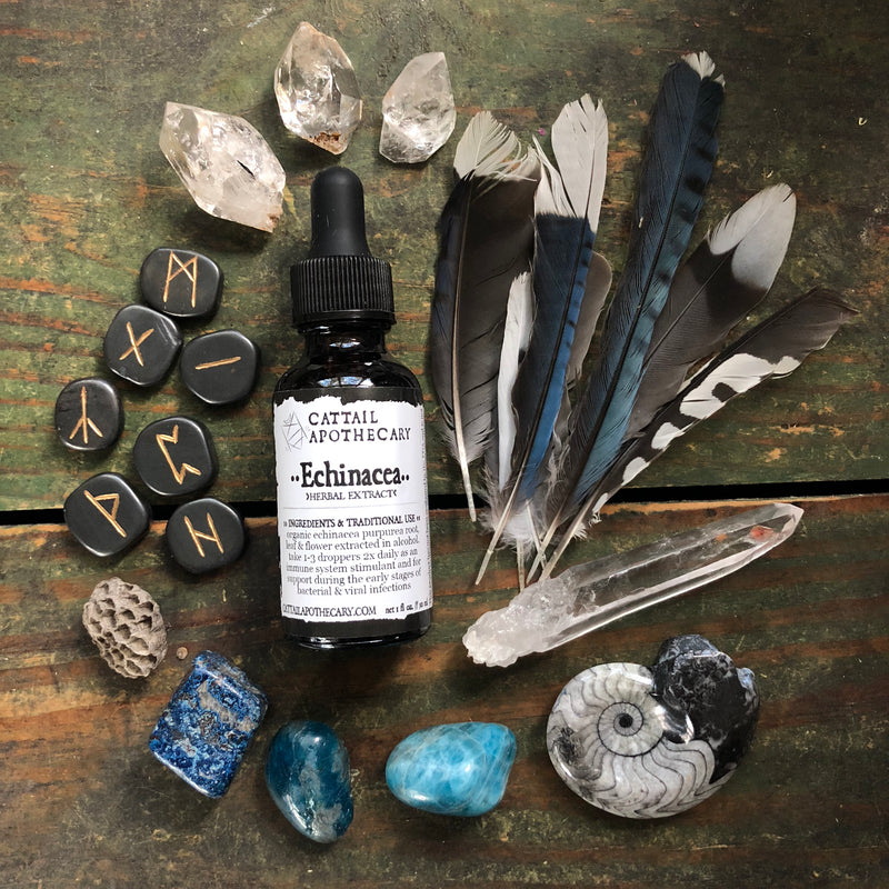 Echinacia tincture from Cattail Apothecary