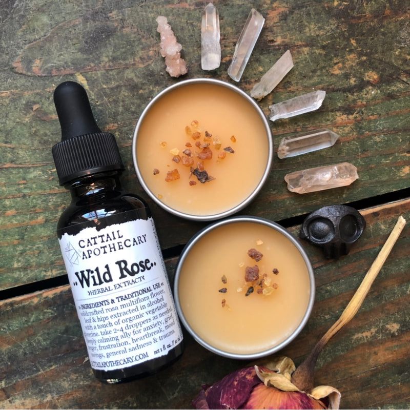 Wild Rose herbal extract from Cattail Apothecary