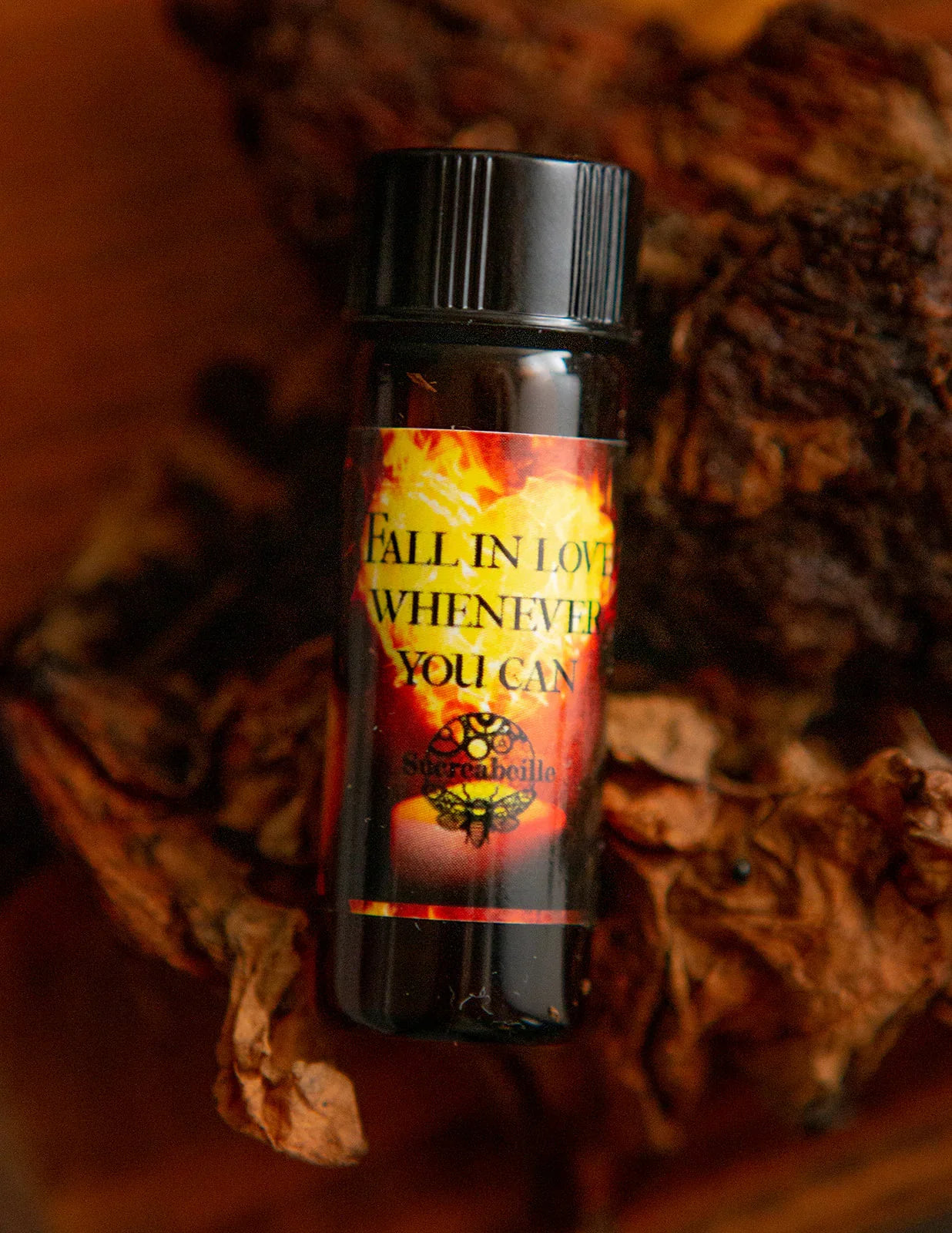 Fall In Love Whenever You Can